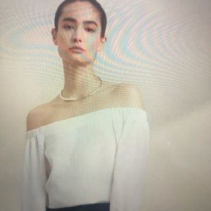 Aritzia Babaton Rodrigo Blouse